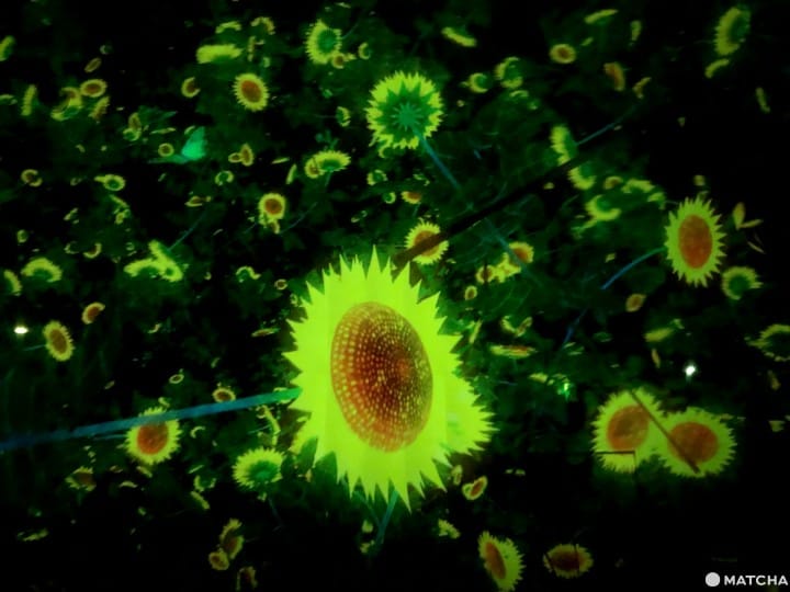 teamLab Planets