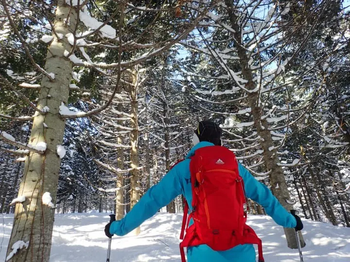 ニセコ観光ガイド〜人気のスキーリゾートから観光地・アクセスまで〜