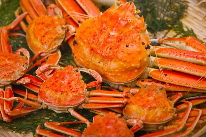 石川県の観光地&グルメ!定番から穴場まで徹底解説