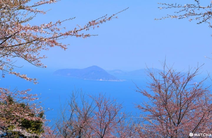 Kagawa accommodations