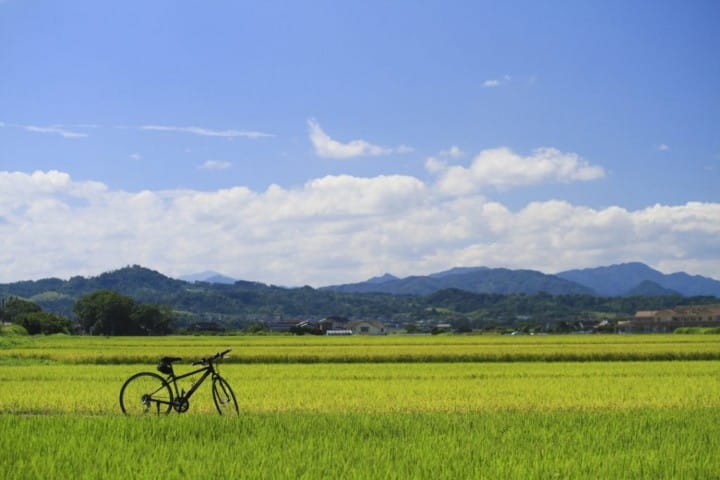 Kagawa accommodations