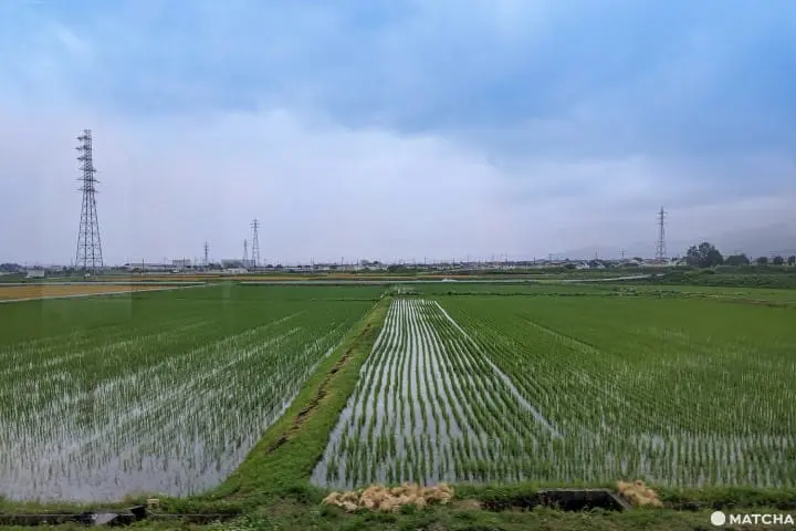 คามิโคจิ (Kamikochi) วิวธรรมชาติแบบสวรรค์บนดินที่นากาโนะ (Nagano)