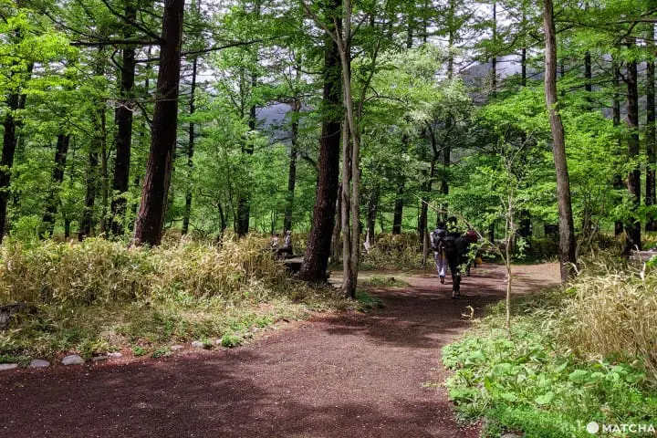 คามิโคจิ (Kamikochi) วิวธรรมชาติแบบสวรรค์บนดินที่นากาโนะ (Nagano)