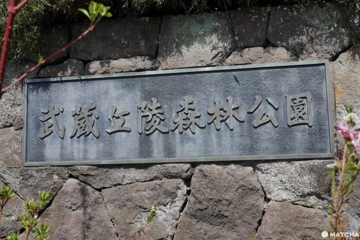 森林公園