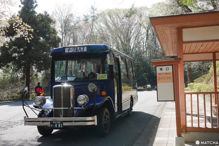 森林公園園內バス