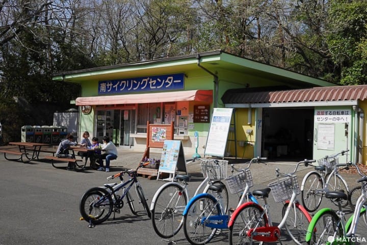 森林公園サイクリング