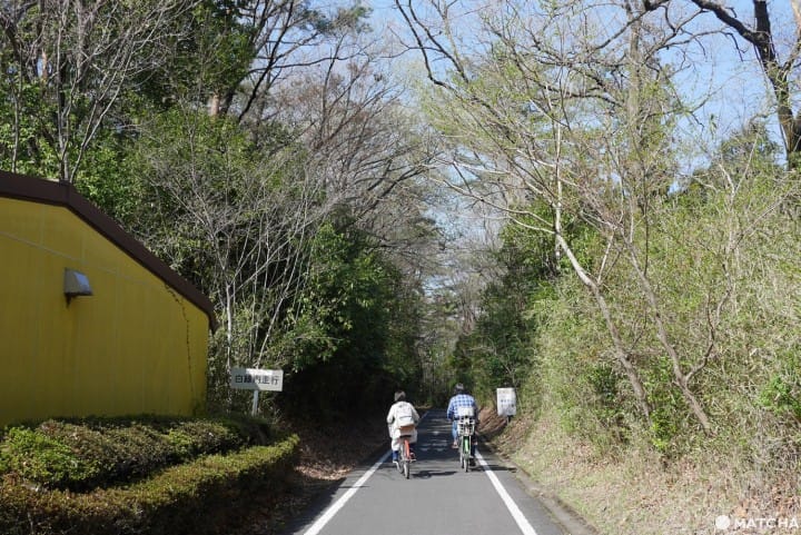 森林公園腳踏車