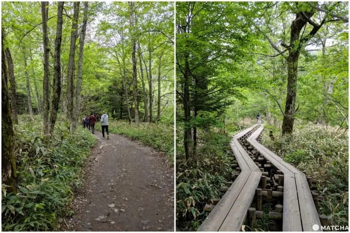คามิโคจิ (Kamikochi) นั่งบัสจากโตเกียวไปสวรรค์บนดินที่นากาโนะ (Nagano)