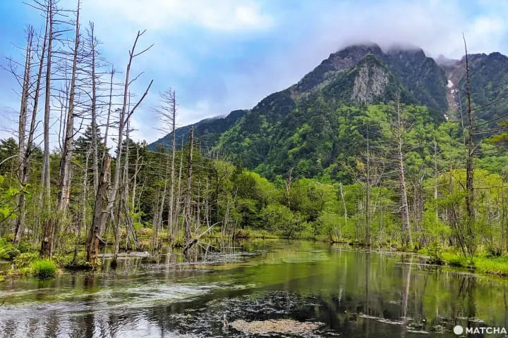 คามิโคจิ (Kamikochi) นั่งบัสจากโตเกียวไปสวรรค์บนดินที่นากาโนะ (Nagano)