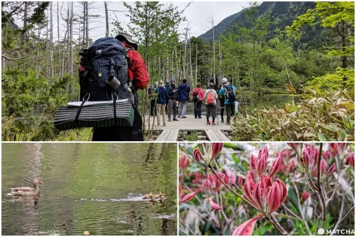 คามิโคจิ (Kamikochi) นั่งบัสจากโตเกียวไปสวรรค์บนดินที่นากาโนะ (Nagano)