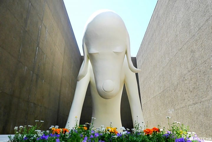 Aomori Travel Guide – 20 Sightseeing Spots With Food, Nature, Art, And More