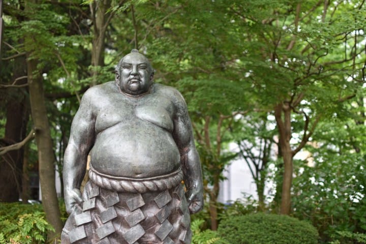 Sumo wrestling