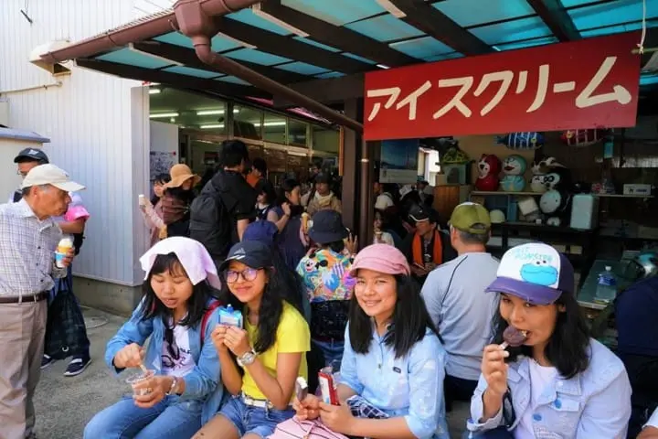 Kagawa Diary- An American Girl Living, Loving Rural Japan