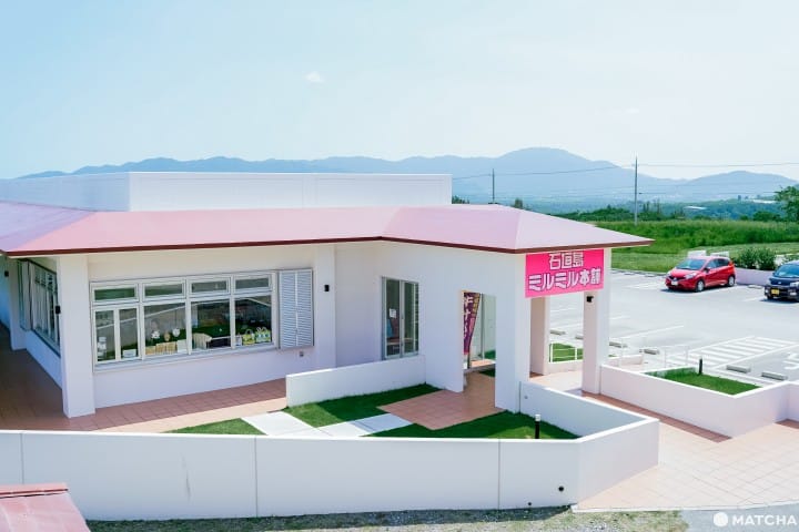 石垣島 MiruMiru本舗(ミルミル本舗)