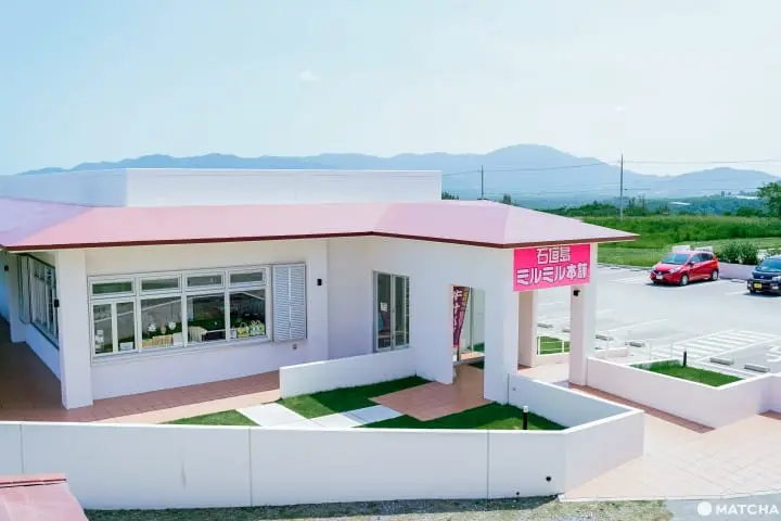 石垣島 MiruMiru本舗（ミルミル本舗）