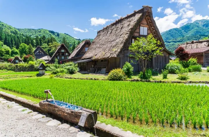 白川鄉合掌村夏天