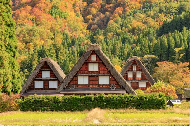 白川乡合掌村秋天枫叶