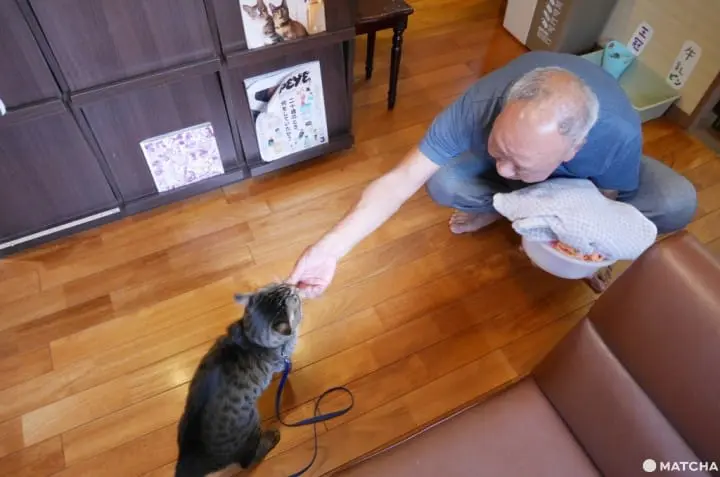 喜樂湯 客人與貓