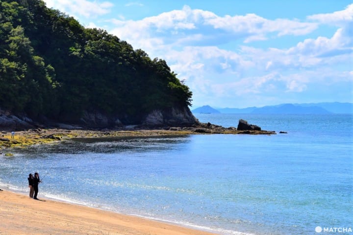荘内半島