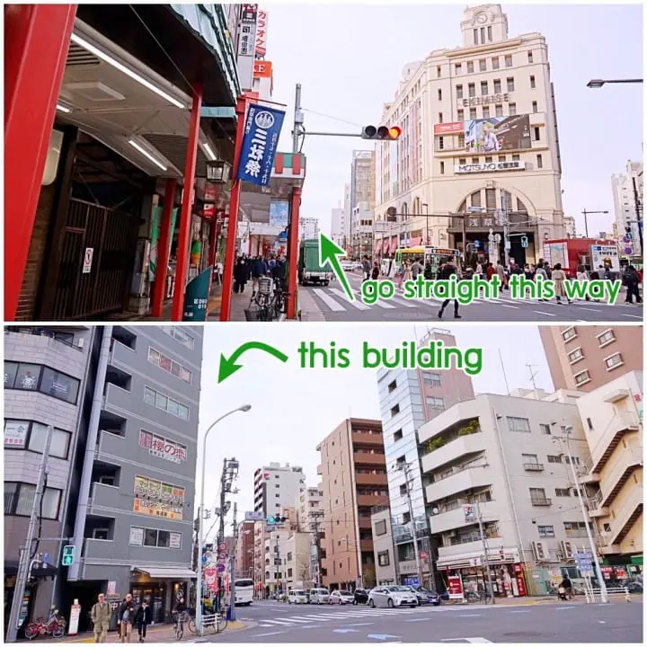 可愛い猫たちにメロメロ！保護猫カフェ「浅草ねこ園」