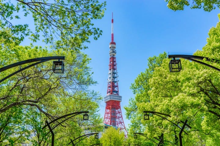東京鐵塔 芝公園拍照