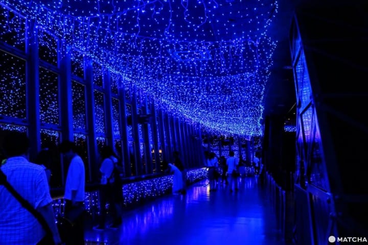 東京鐵塔 銀河燈飾