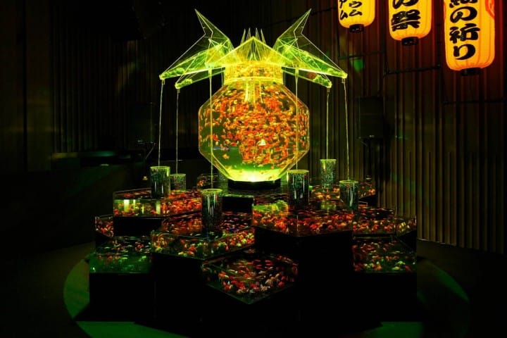 Art Aquaruim 2019 in Tokyo