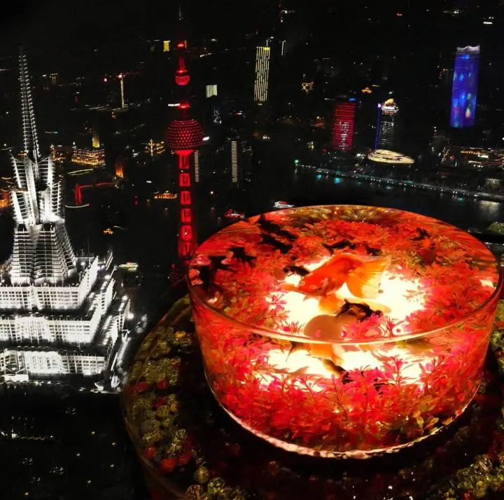 Art Aquaruim 2019 in Tokyo