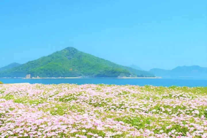 フラワーパーク浦島