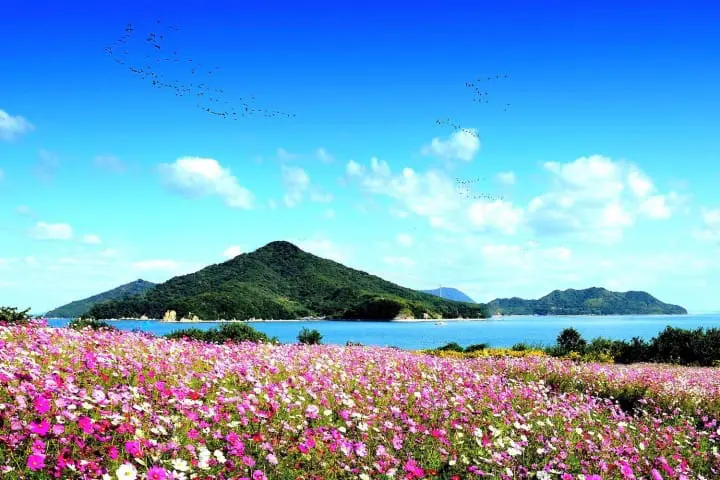 フラワーパーク浦島