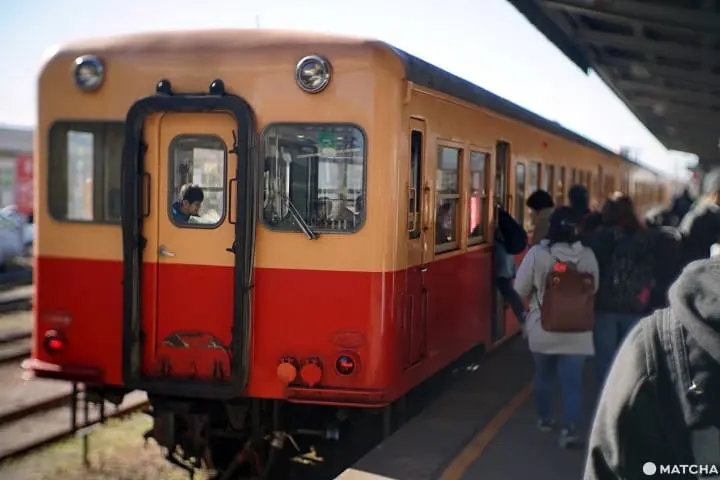 โยโรเคโคคุ Yoro Keikoku valley ใบไม้เปลี่ยนสี ชิบะ