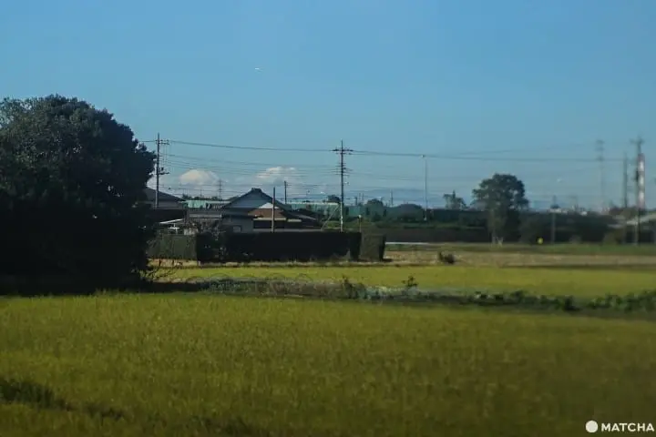 โยโรเคโคคุ Yoro Keikoku valley ใบไม้เปลี่ยนสี ชิบะ