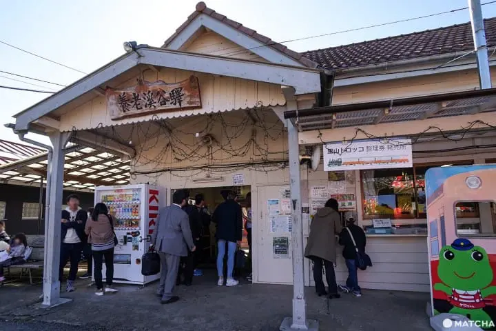 โยโรเคโคคุ Yoro Keikoku valley ใบไม้เปลี่ยนสี ชิบะ