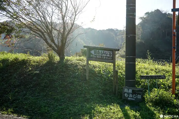 โยโรเคโคคุ Yoro Keikoku valley ใบไม้เปลี่ยนสี ชิบะ