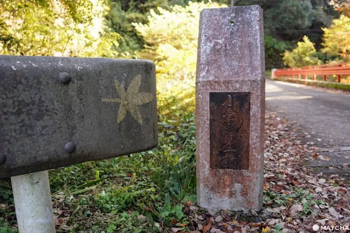 โยโรเคโคคุ Yoro Keikoku valley ใบไม้เปลี่ยนสี ชิบะ