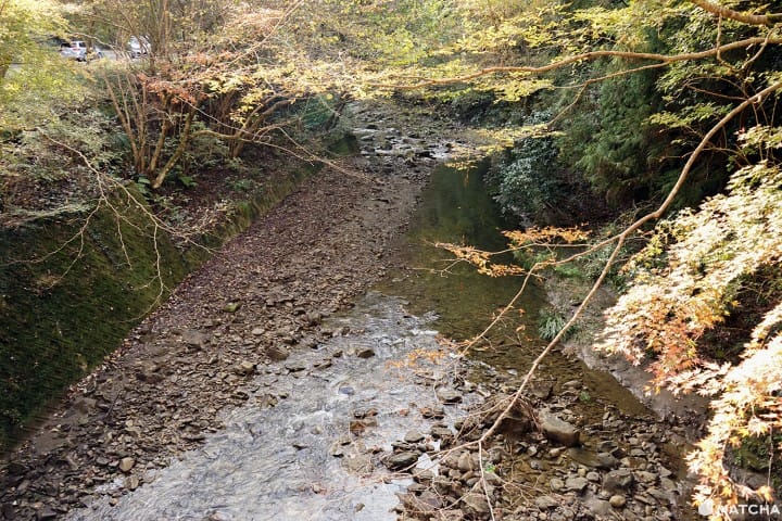 โยโรเคโคคุ Yoro Keikoku valley ใบไม้เปลี่ยนสี ชิบะ