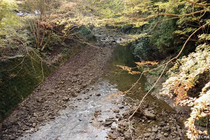 โยโรเคโคคุ Yoro Keikoku valley ใบไม้เปลี่ยนสี ชิบะ