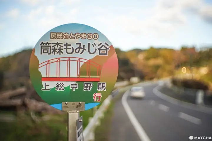 โยโรเคโคคุ Yoro Keikoku valley ใบไม้เปลี่ยนสี ชิบะ