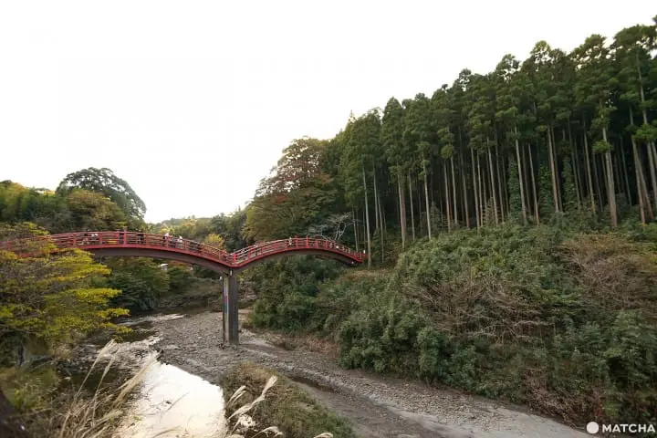 โยโรเคโคคุ Yoro Keikoku valley ใบไม้เปลี่ยนสี ชิบะ