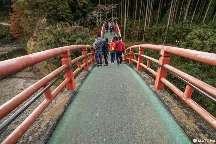 โยโรเคโคคุ Yoro Keikoku valley ใบไม้เปลี่ยนสี ชิบะ