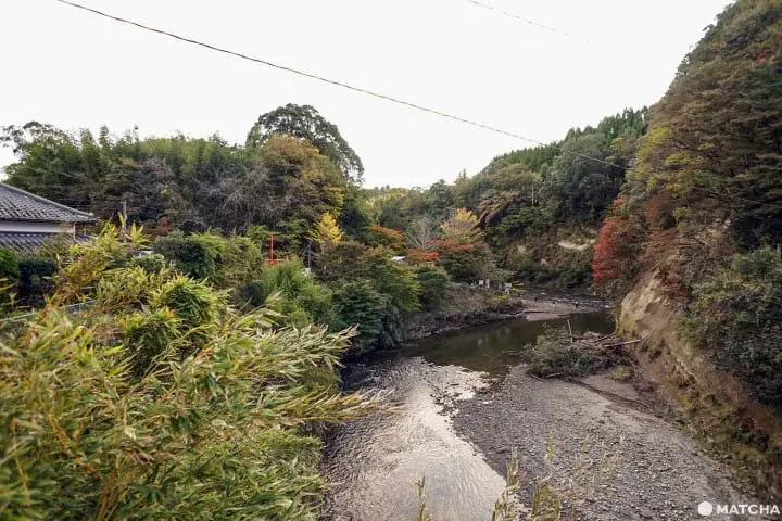 โยโรเคโคคุ Yoro Keikoku valley ใบไม้เปลี่ยนสี ชิบะ