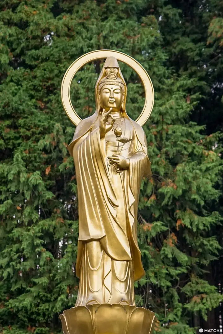 โยโรเคโคคุ Yoro Keikoku valley ใบไม้เปลี่ยนสี ชิบะ