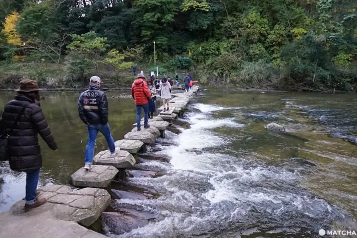 โยโรเคโคคุ Yoro Keikoku valley ใบไม้เปลี่ยนสี ชิบะ