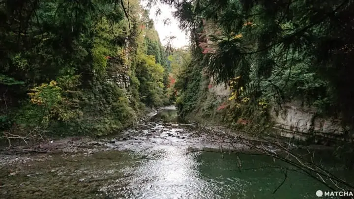 โยโรเคโคคุ Yoro Keikoku valley ใบไม้เปลี่ยนสี ชิบะ