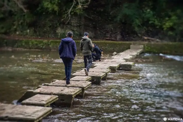 โยโรเคโคคุ Yoro Keikoku valley ใบไม้เปลี่ยนสี ชิบะ