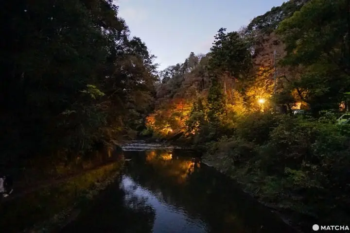 โยโรเคโคคุ Yoro Keikoku valley ใบไม้เปลี่ยนสี ชิบะ