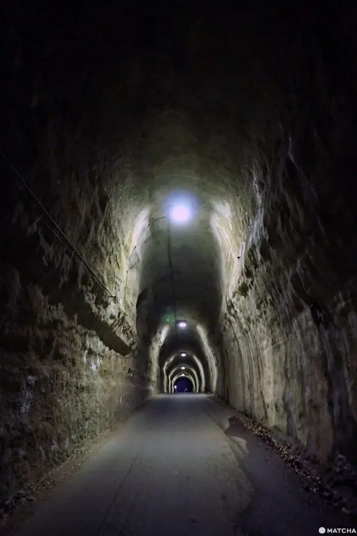 โยโรเคโคคุ Yoro Keikoku valley ใบไม้เปลี่ยนสี ชิบะ