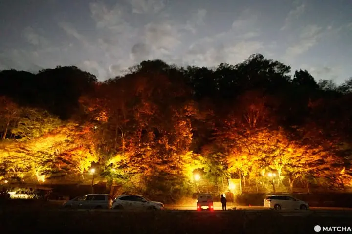 โยโรเคโคคุ Yoro Keikoku valley ใบไม้เปลี่ยนสี ชิบะ