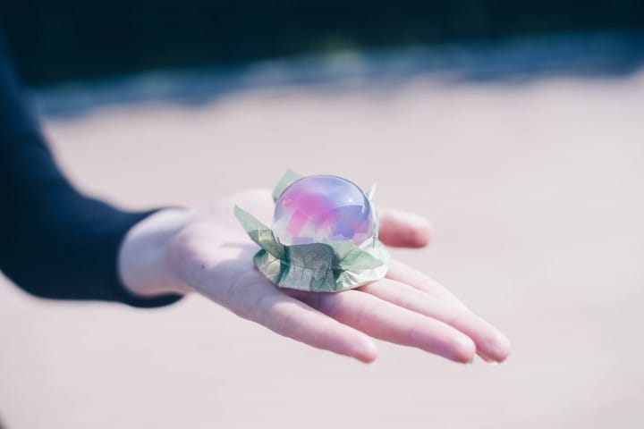 Hydrangea jelly