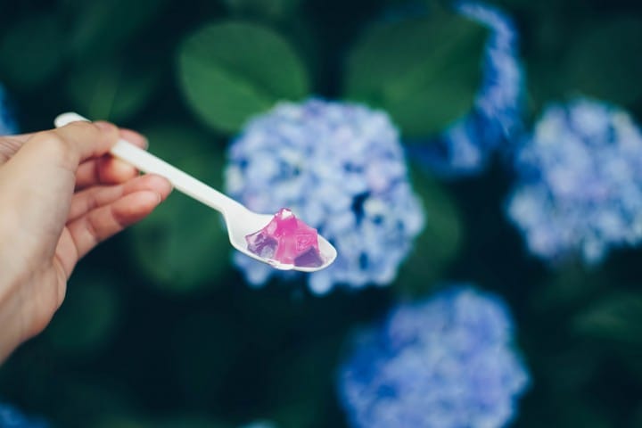 Hydrangea sweets